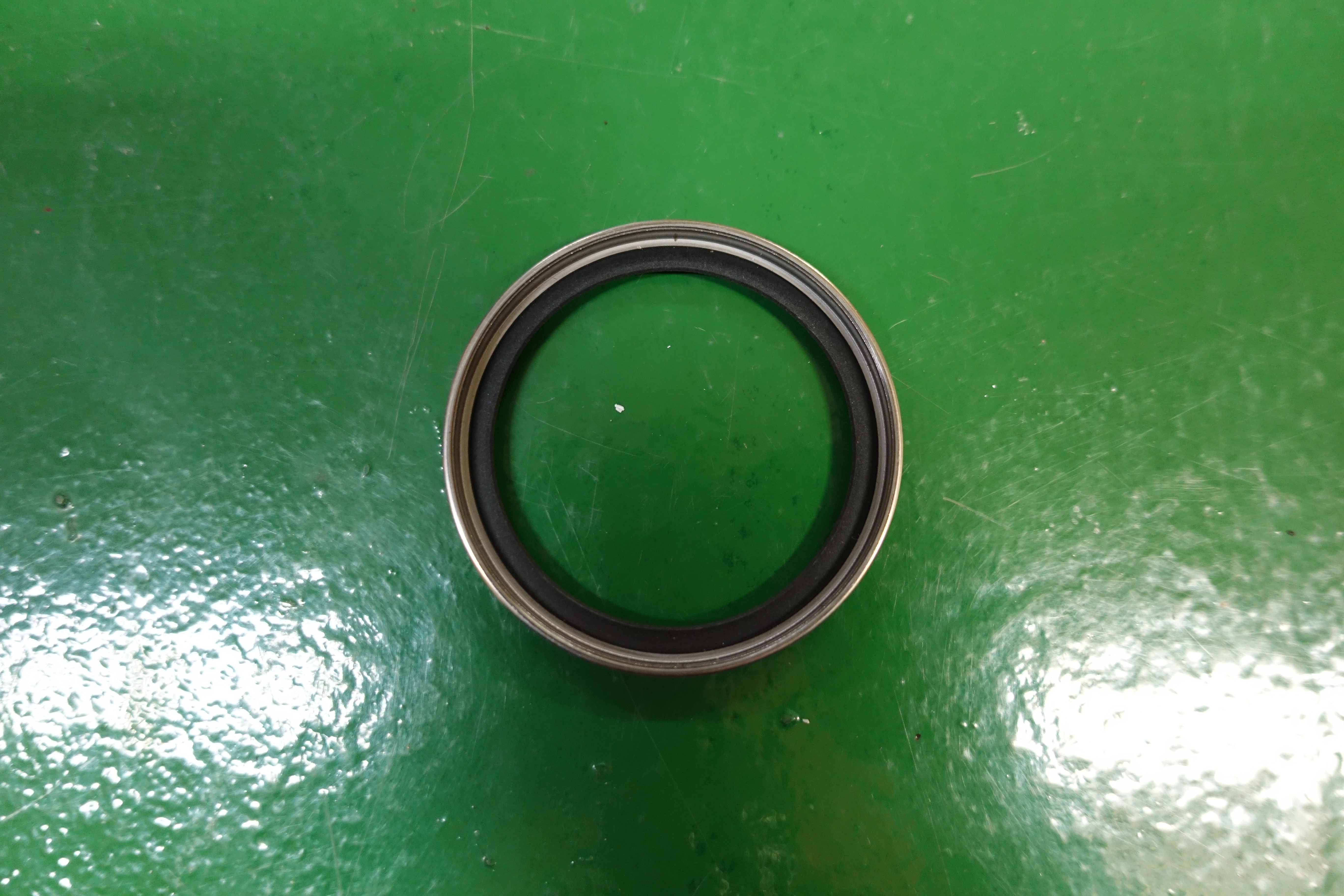 SEAL,3092399 thumbnail