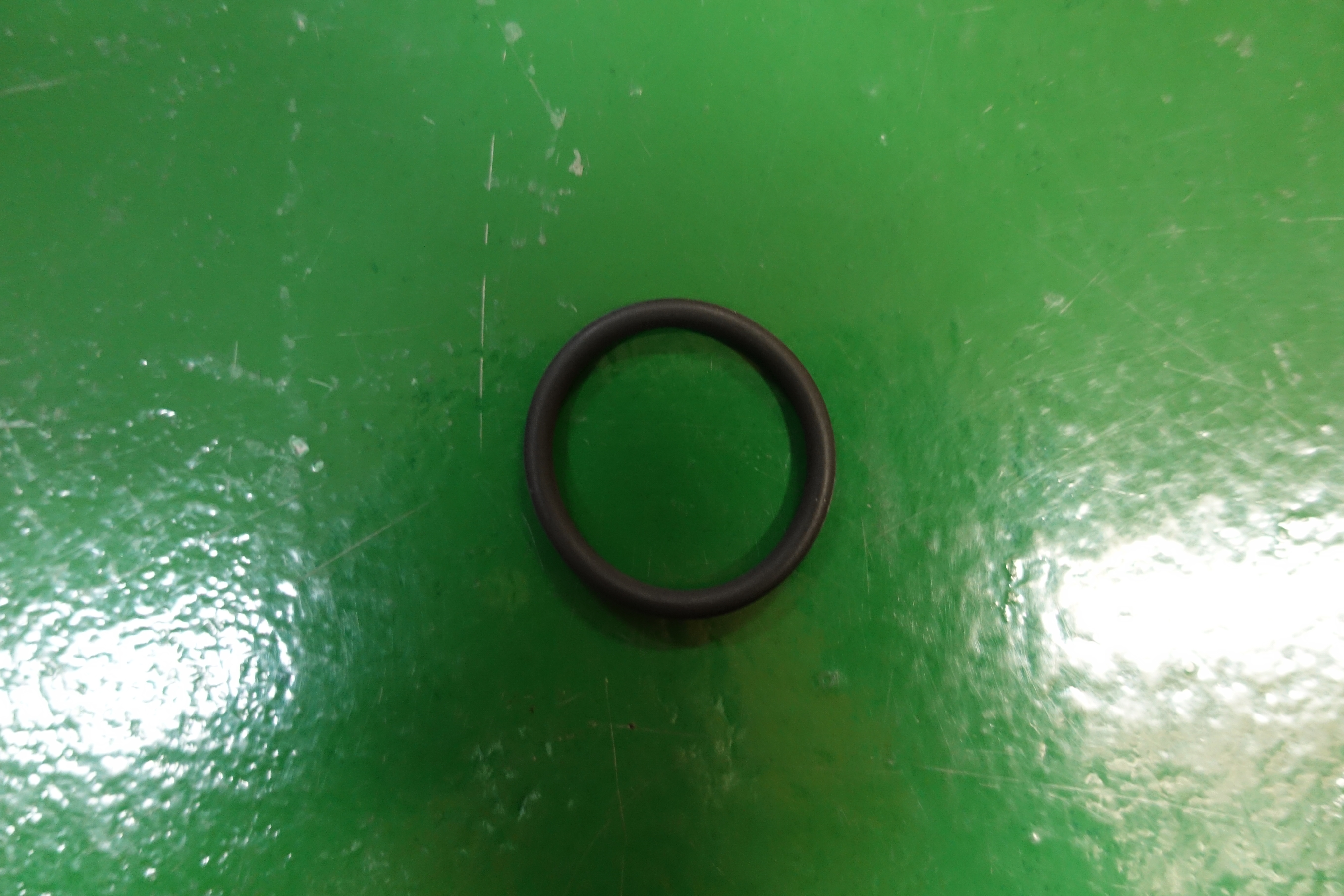 O-RING,3004511